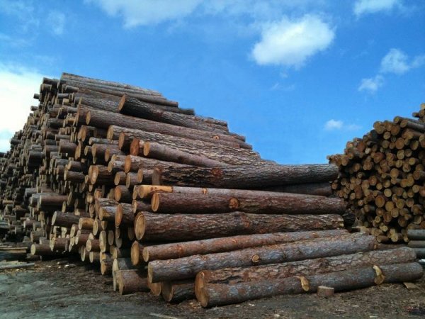 Продам кругляк лиственницы с доставкой по Московской области.