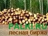 ПИЛОВОЧНИК КЕДРА И ЛИСТВЕННИЦЫ