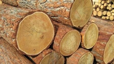 Кругый лес хвойных пород, сорт 1-2, длина 4,6м